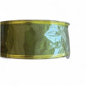 Shimmering Green Ribbon